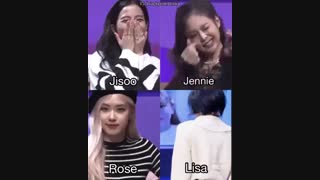 بلک پینک کیوت