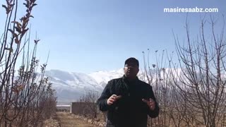 برخورد صحیح با کودک طلاق