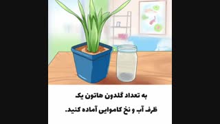 ترفند آبیاری گیاهان در مسافرت