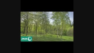 تغییر طبیعت در 38 ثانیه