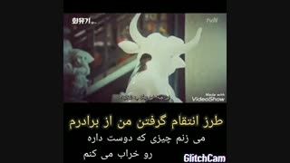 کلیپ کره‌ای ( انتقام برادری )