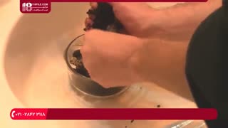 نحوه پرورش آسان و ارزان قارچ های صدفی با استفاده از قهوه