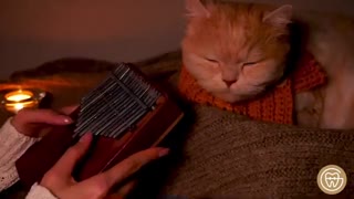 شادترین مردم بهترین چیزها را در زندگی ندارند | دکتر فرهاد گرجی دوز