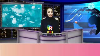 برنامه تلویزیونی جوانی، معایب ومزایای تحصیل  مجازی