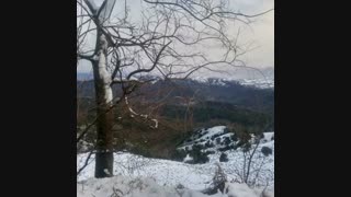 برررررررررررررررررف