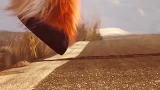 انیمیشن کوتاه خنده دار