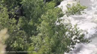 آپاردی سئلر سارانی