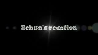 EXO : Concert Moments