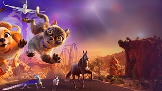 گریسی و پدرو: حیوانات خانگی