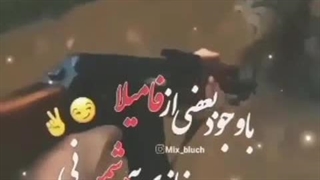 باو جود بعضی از فامیلا