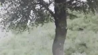 فکر کن وسط عملیات زید بردی زدی زمین