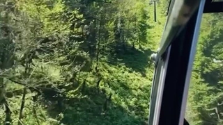 فیلم تله کابین نمک آبرود