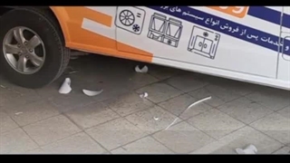 ون ایندروز ساب کول