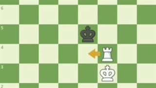 Checkmate with the Rook